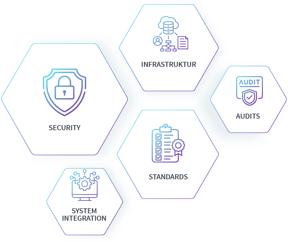 Sammlung von Icons als Symbole für Security, Infrastruktur, Audits, System Integration, Standards